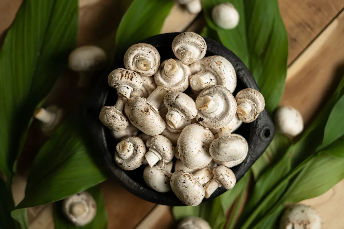 Champignons de Paris