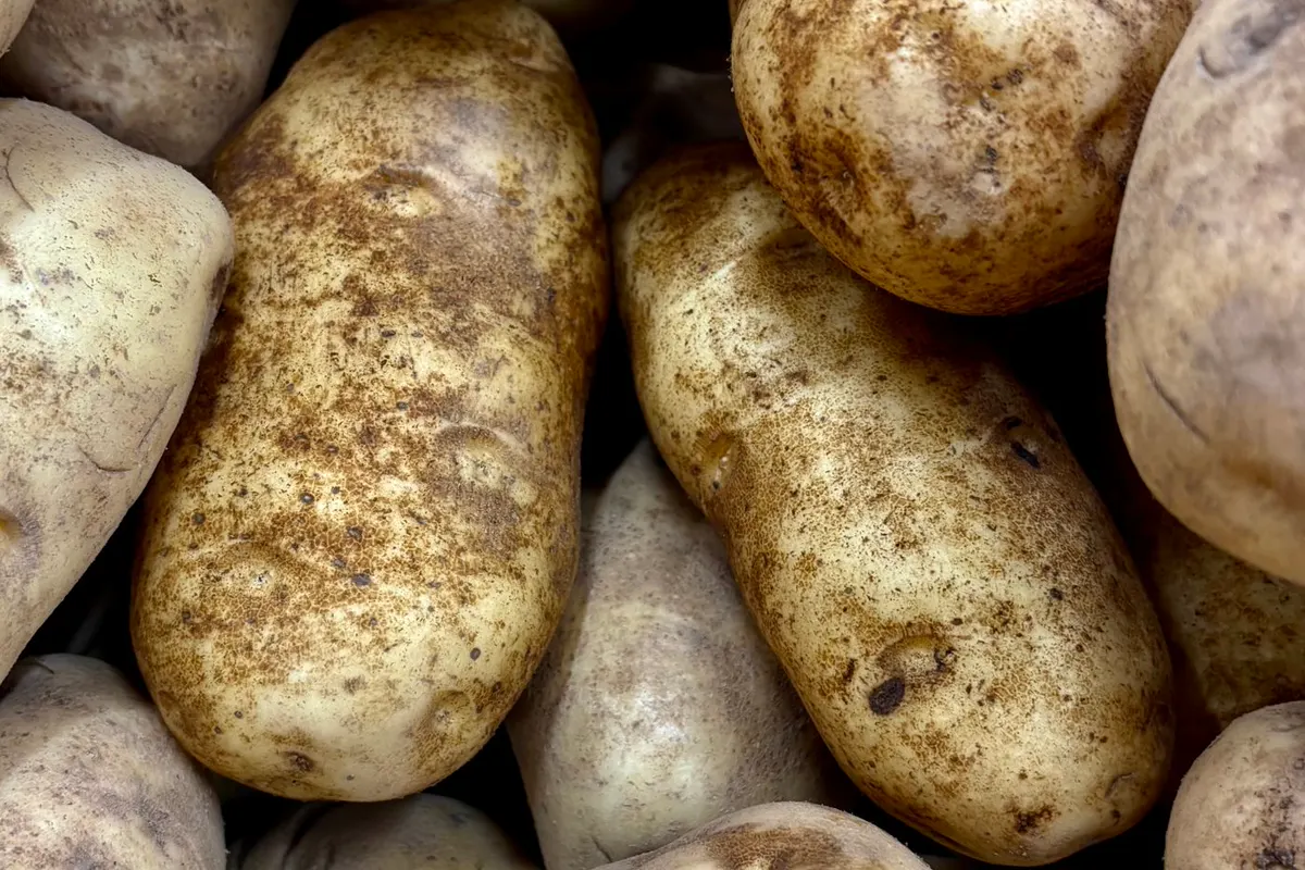 Pommes de terre