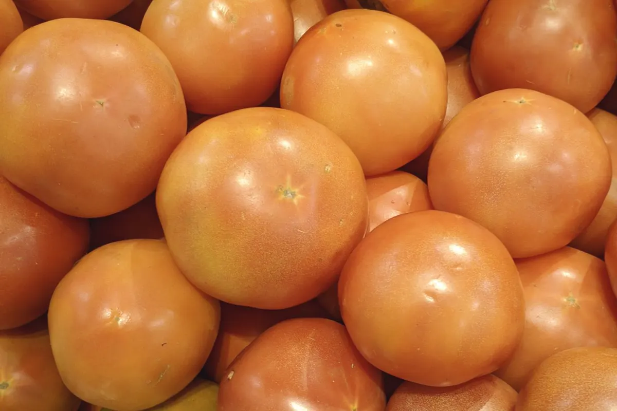Tomates